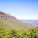 블루마운틴 이미지