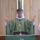 기준농장 이미지