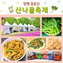 4월 여행 양평 용문산 관광지 산나물 축제 행사 애견동반 용문사 산책 코스