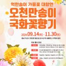 기본 | 피나클랜드 오천만송이 국화축제 기본정보, 주차장, 솔직후기🌼