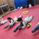 용인대한뫼태권도장