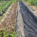 팔암경로당 이미지