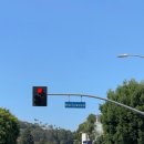 엔젤파머스 이미지