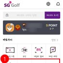 SG골프 이미지