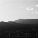 삼오슈퍼 이미지