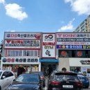 달서권투 이미지