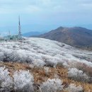 "1,500m 능선이 11월에 벌써 하얘졌다"... 첫눈이 작년보다 열흘 빨리 온 100대 명산 이미지