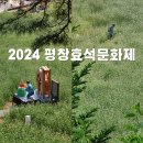 2024 봉평 메밀꽃 축제 평창효석문화제 기본정보 실시간 후기
