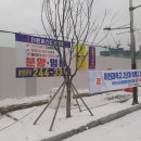 용인대 더원 태권도장 이미지