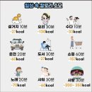 💖 50원 동전에 통일벼가 있는 이유 이미지