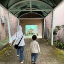 감귤박물관 위 | 20주년 감귤박물관 기념 전시 후기 (feat 방송탄 첫째)