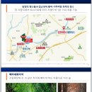 리버트리 이미지