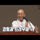 [법륜스님의 즉문즉설 제 1537회] 경험과 트라우마 이미지