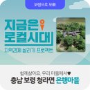 마을회관 | 보령 귀농귀촌 프로젝트] 지금은 로컬시대 5화 함께 살아요. 우리 마을에서 - 충남 보령 청라면 은행마을편