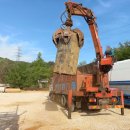 청푸른환경 이미지