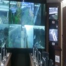 제주 재난감시CCTV 미디어제주