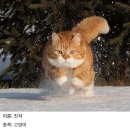 개조아PC방 이미지