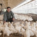 현승오리농장 이미지