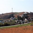 남해-159 Daum카페