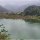 꽃피는민박 이미지