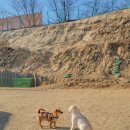 개두방정 이미지