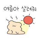 고로치통닭 - 수원시 팔달구 수원천로 292 | 고로치통닭