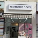 비밍 | 일산서구 킨텍스 대화동꽃집 비밍모어 구매후기 내돈내산