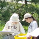 자연이랑캠프 이미지