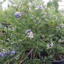 가화만사성농장 이미지