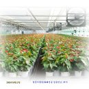 경중농장 이미지