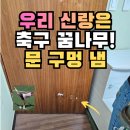파리바게트우만주공점 | 수원 팔달구 깨진 안방 문 수리, 발로 차 구멍난 무늬목