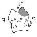 제주따이 이미지