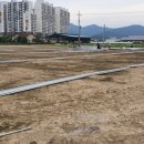 늘봄딸기농원 이미지