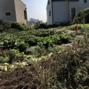 오리역공인중개사사무소 이미지