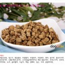 콩이언니