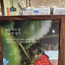 백미당롯데 이미지