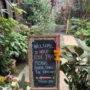 금빛하루약국 | chiangmai | 03. 와일드로즈요가, 치앙마이대학교, 도이수텝사원