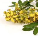 이엽한의원 이미지