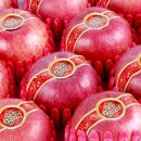 거성1호 이미지