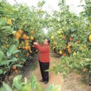 도덕농장 이미지