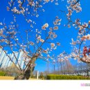 연지공원(조각공원) 이미지