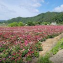 종구농장 이미지