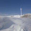 삼양목장 이미지