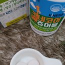 키네코어 이미지
