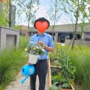 힐링원예 이미지