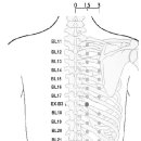 이진복한의원 이미지