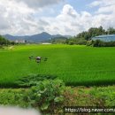 으뜸농약 이미지