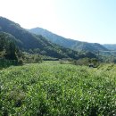 하동포구주유소 이미지