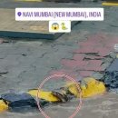 아스테리어 이미지