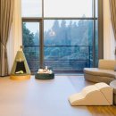 롯데애견 이미지